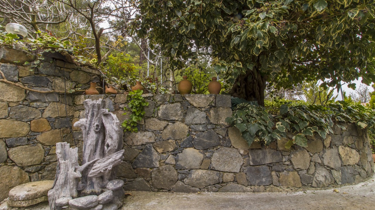 Photo of Outdoor in Episkopi