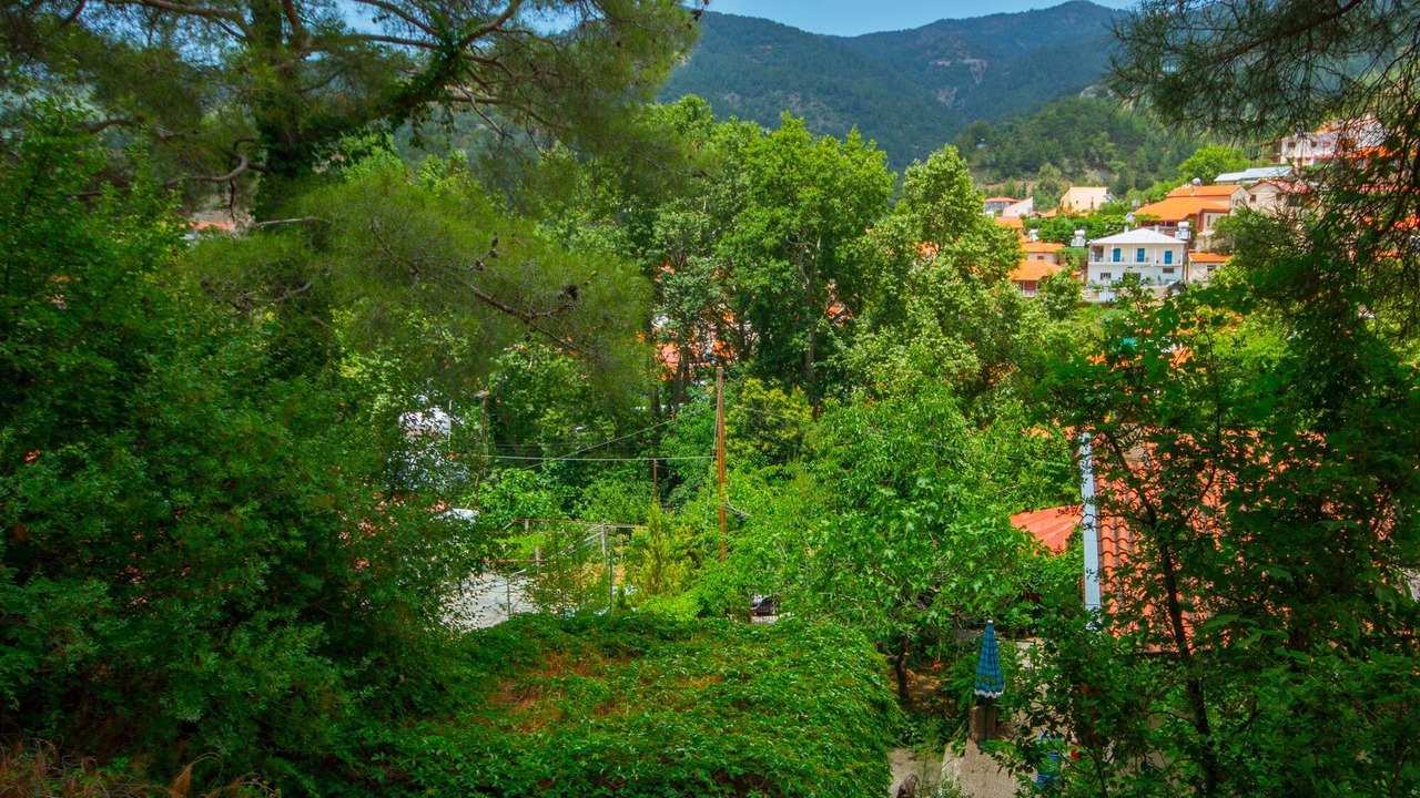 Photo of Outdoor in Episkopi