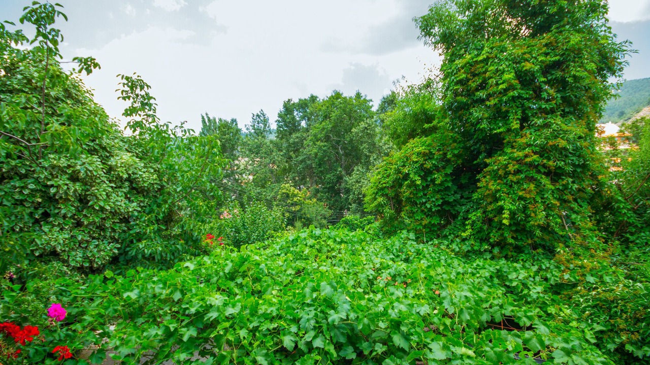 Photo of Outdoor in Episkopi