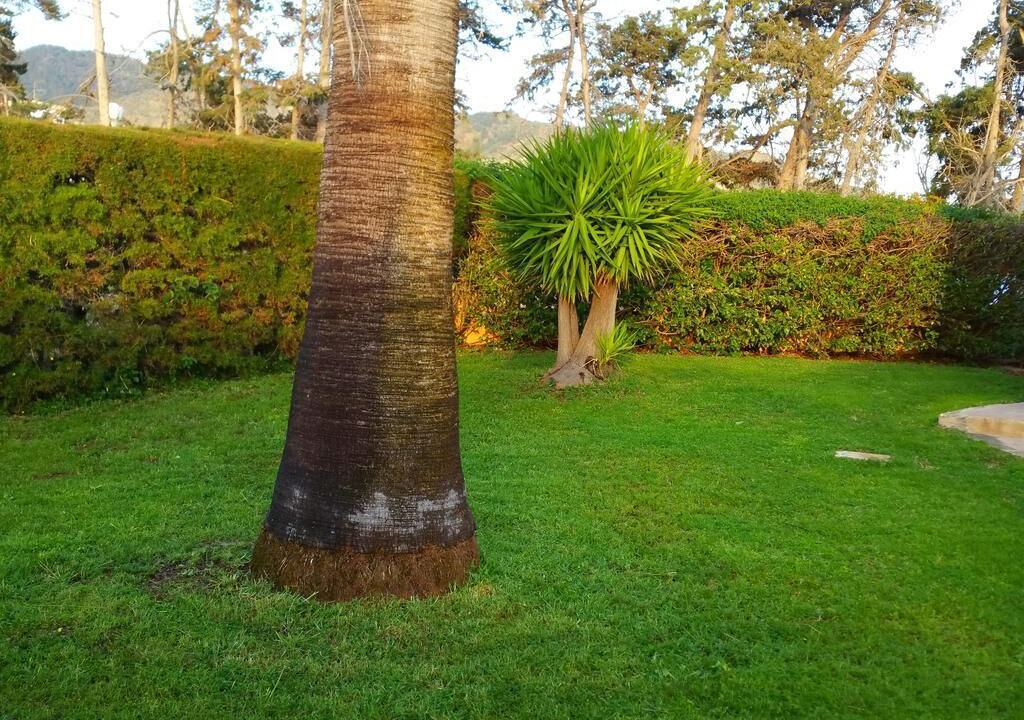 Photo of Outdoor in Ayia Marina Chrysochous