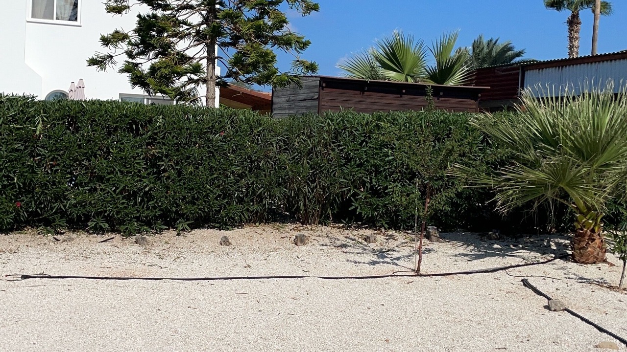Photo of Outdoor in Pegeia
