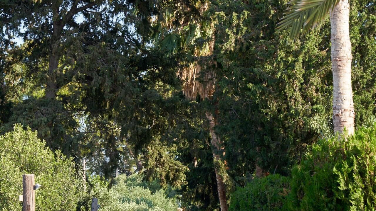 Photo of Outdoor in Polis