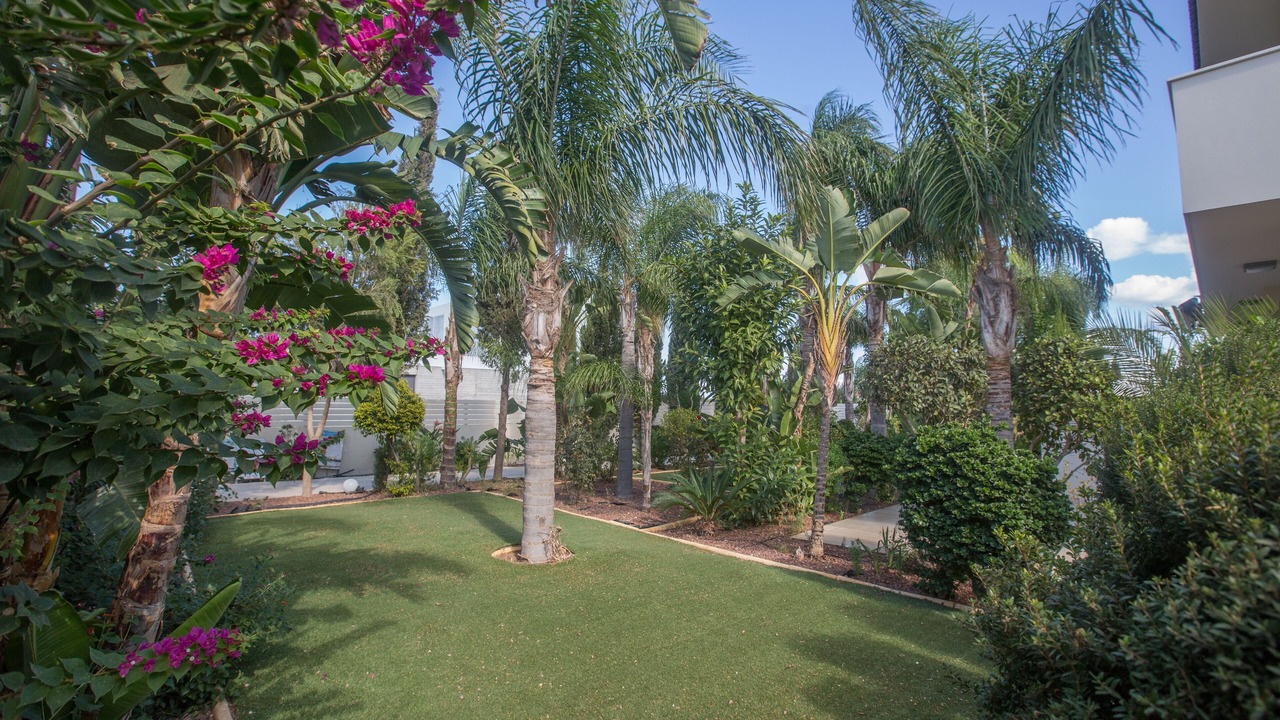 Photo of Outdoor in Cape Greko