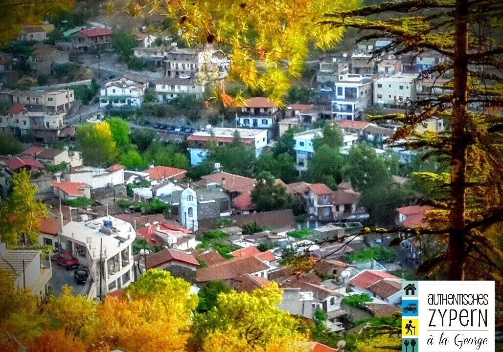 Photo of Outdoor in Palaichori