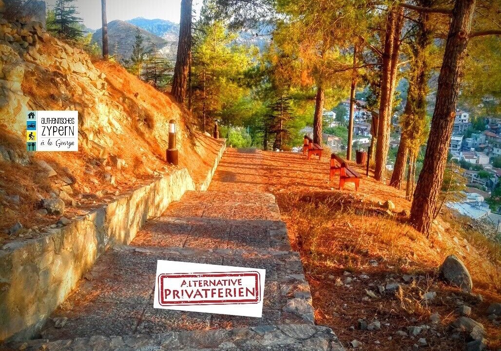 Photo of Outdoor in Palaichori
