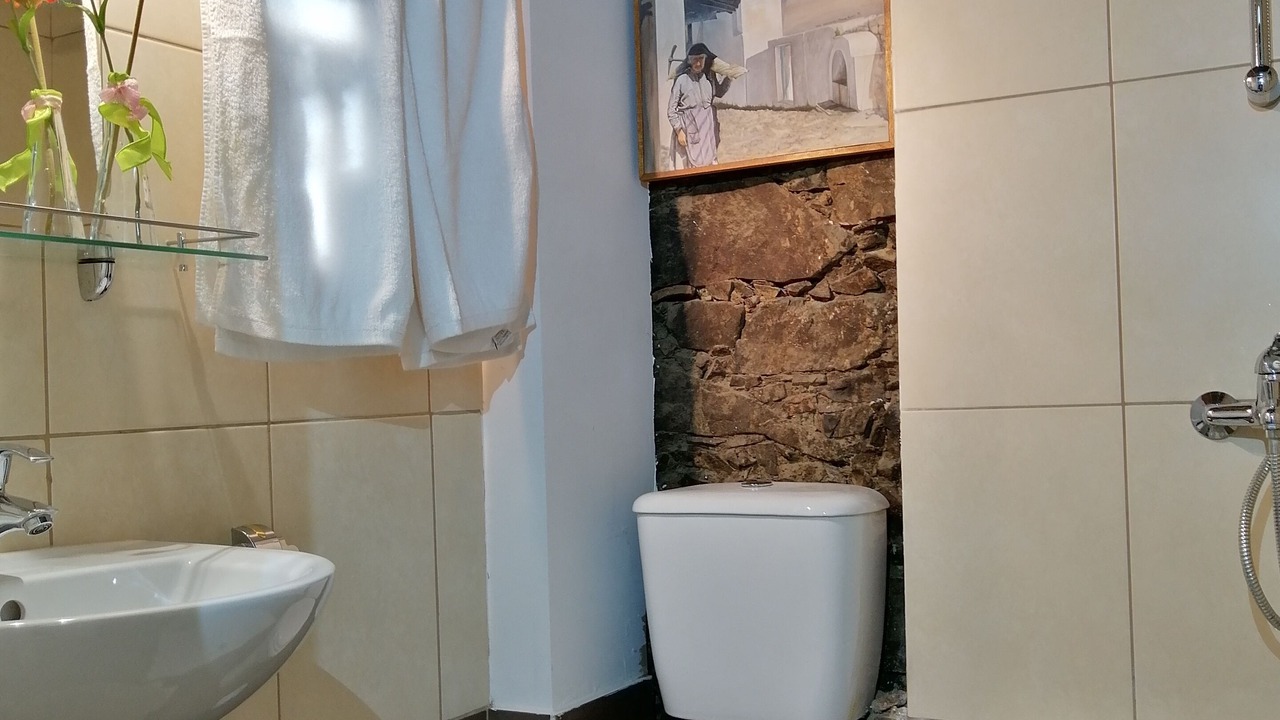 Photo of Bathroom in Palaichori
