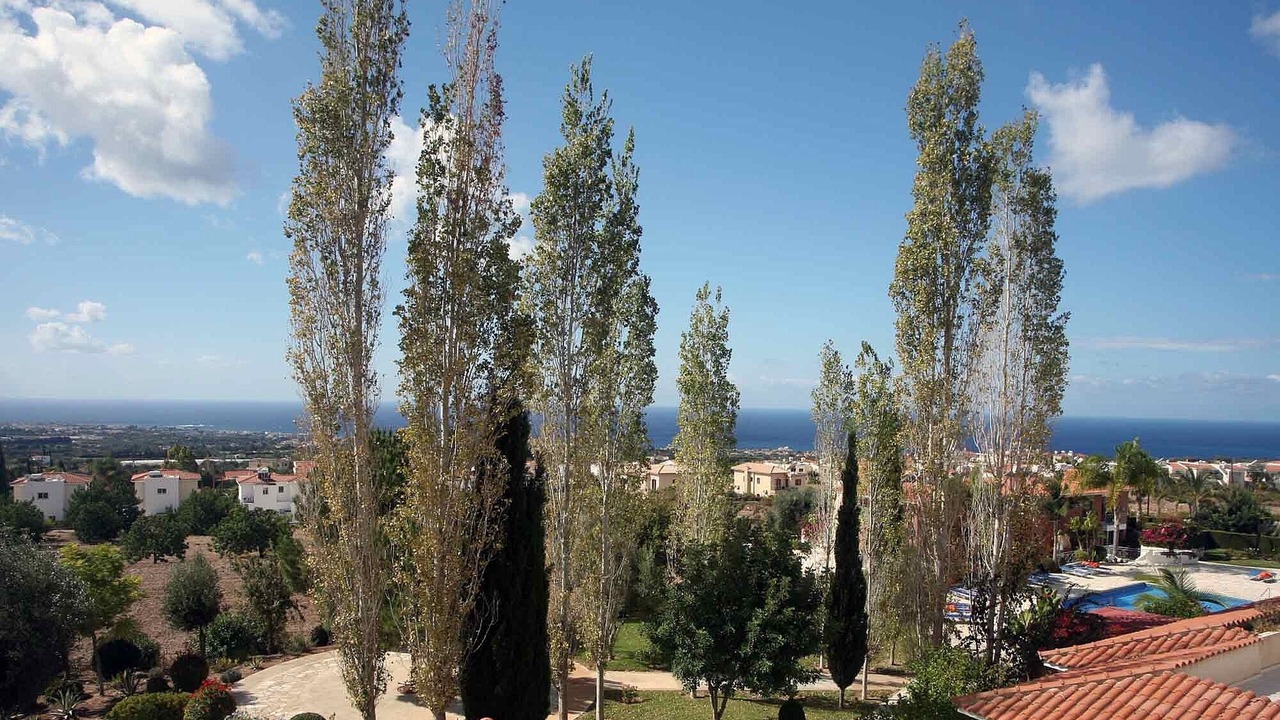 Photo of Others in Tala