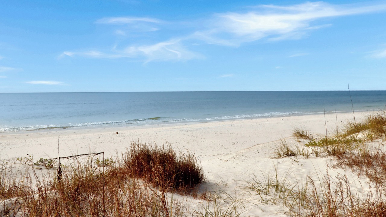 Photo of Others in Cape San Blas