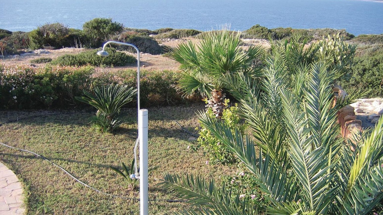 Photo of Others in Agios Georgios Pegeias