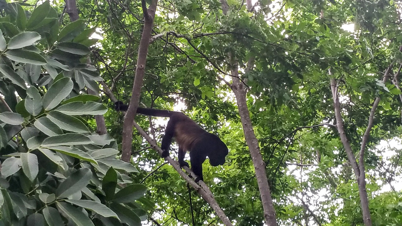 Photo of Outdoor in San Juan del Sur