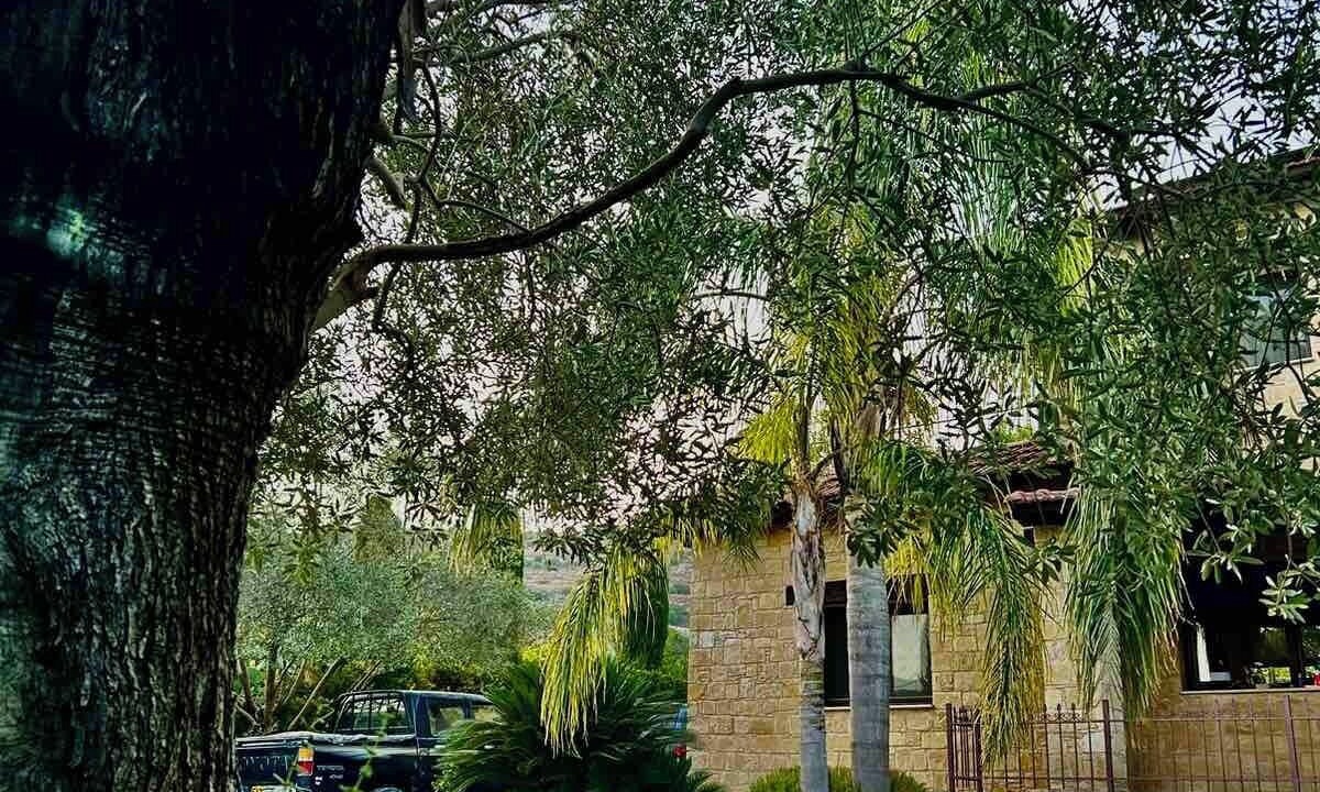 Photo of Outdoor in Miliou