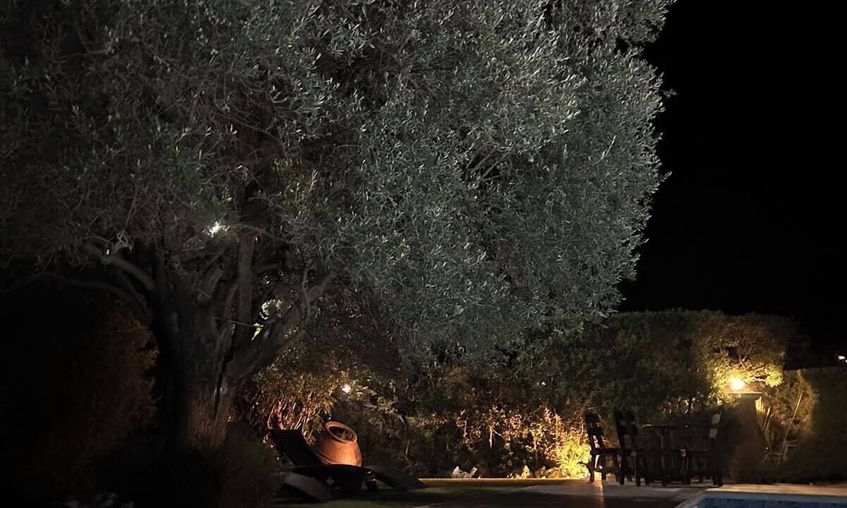 Photo of Outdoor in Miliou