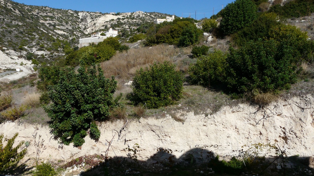 Photo of Others in Peyia Town