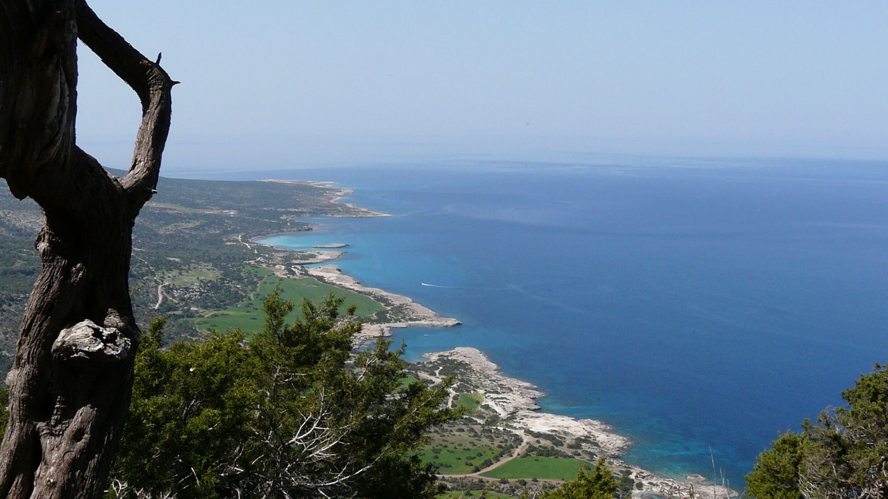Photo of Others in Peyia Town