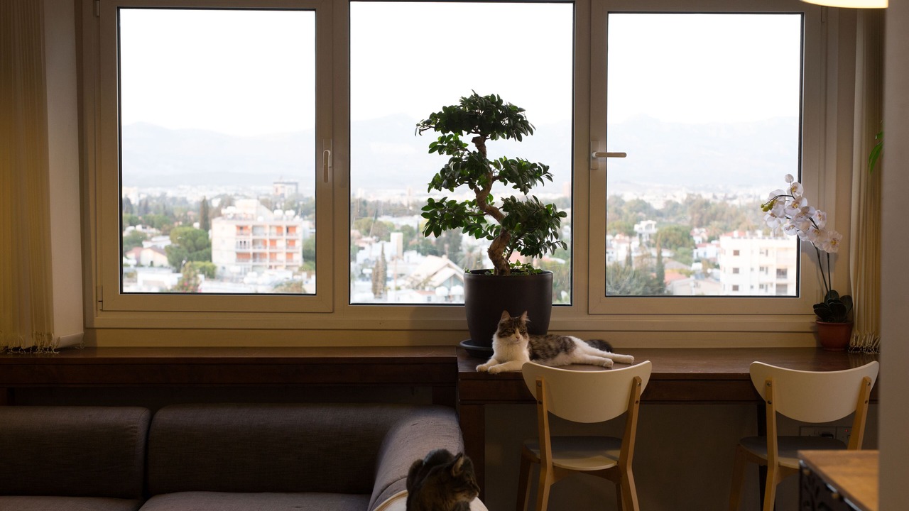 Photo of Bedroom in Nicosia