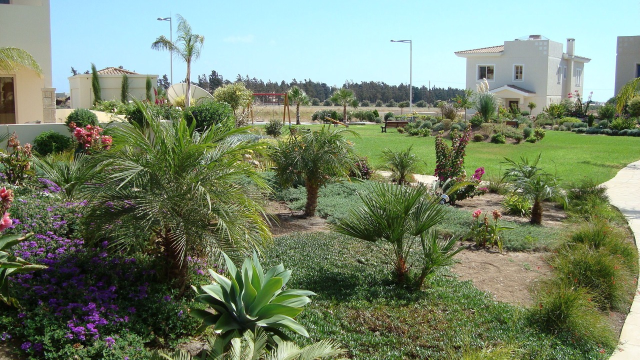 Photo of Others in Mandria