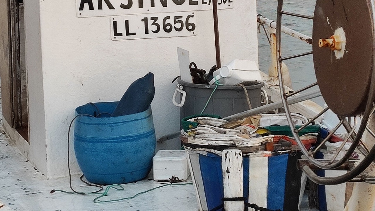 Photo of Outdoor in Polis