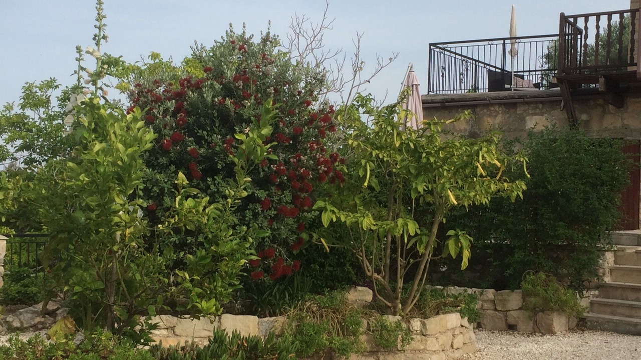 Photo of Outdoor in Kritou Tera