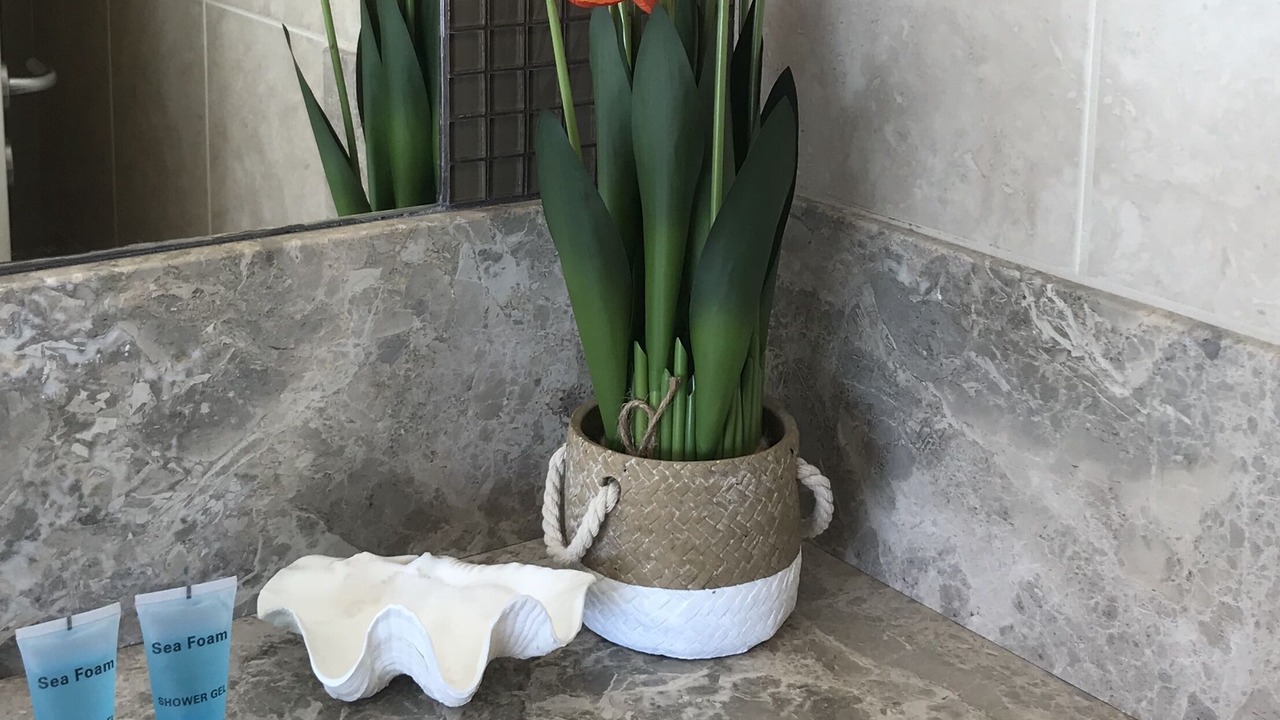 Photo of Bathroom in Pomos