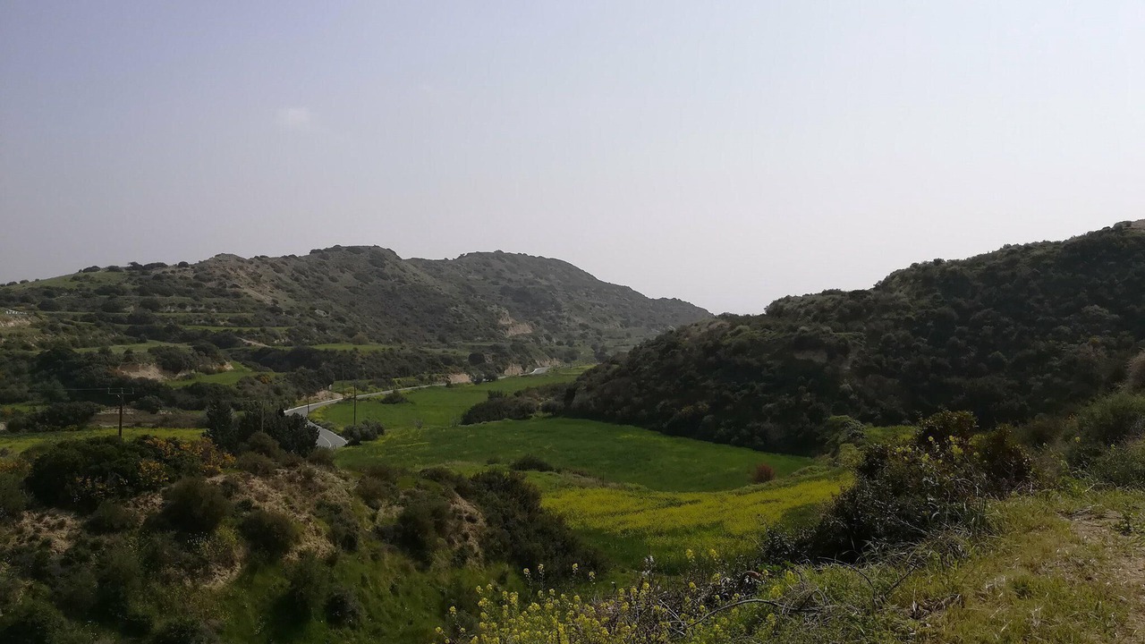 Photo of Others in Pissouri