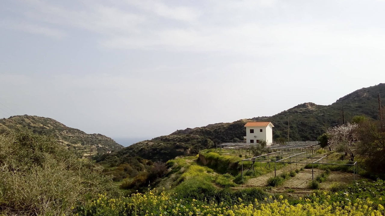 Photo of Others in Pissouri