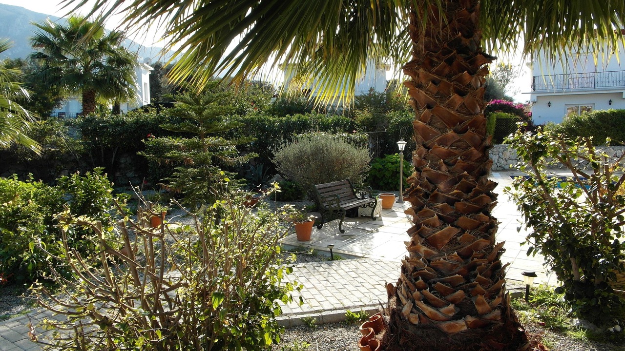 Photo of Outdoor in Ozankoy