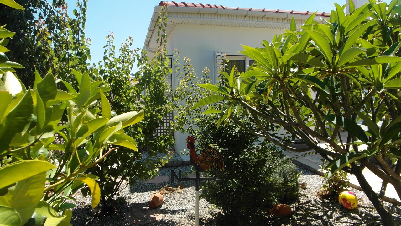 Photo of Outdoor in Ozankoy