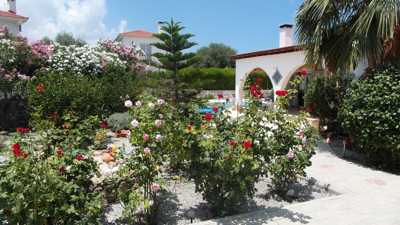 Photo of Outdoor in Ozankoy