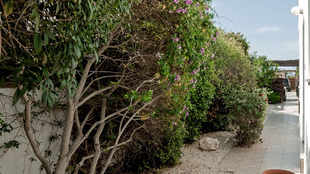 Photo of Others in Peyia Town