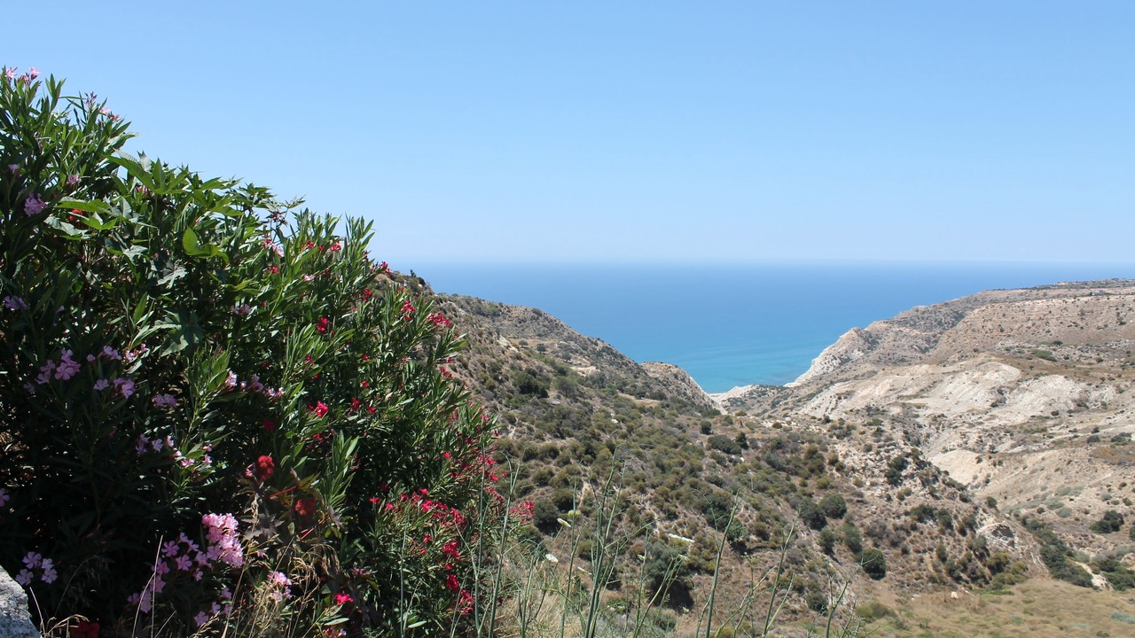Photo of Others in Pissouri