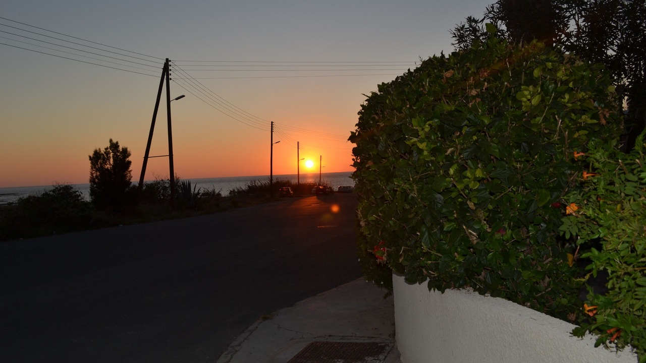 Photo of Others in Paphos