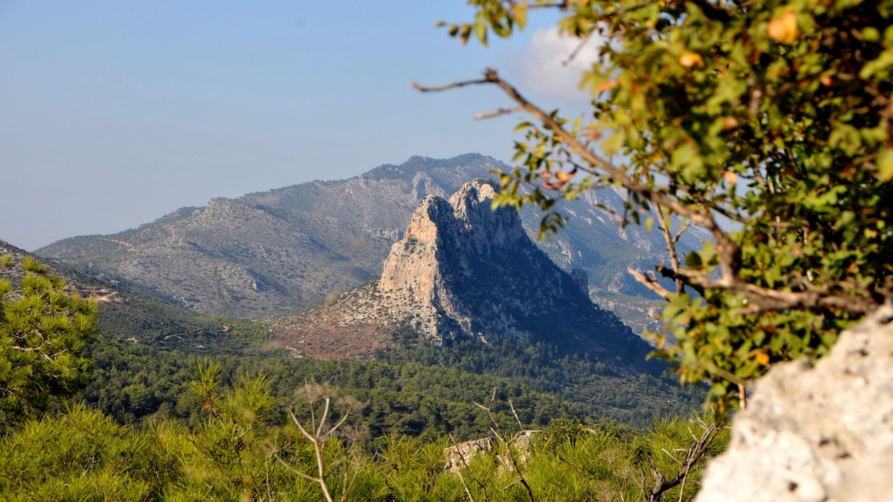 Photo of Outdoor in Esentepe