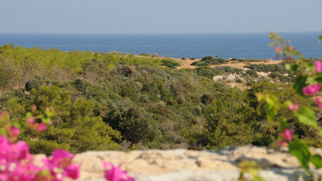 Photo of Outdoor in Esentepe