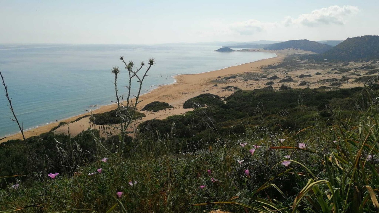 Photo of Others in Esentepe