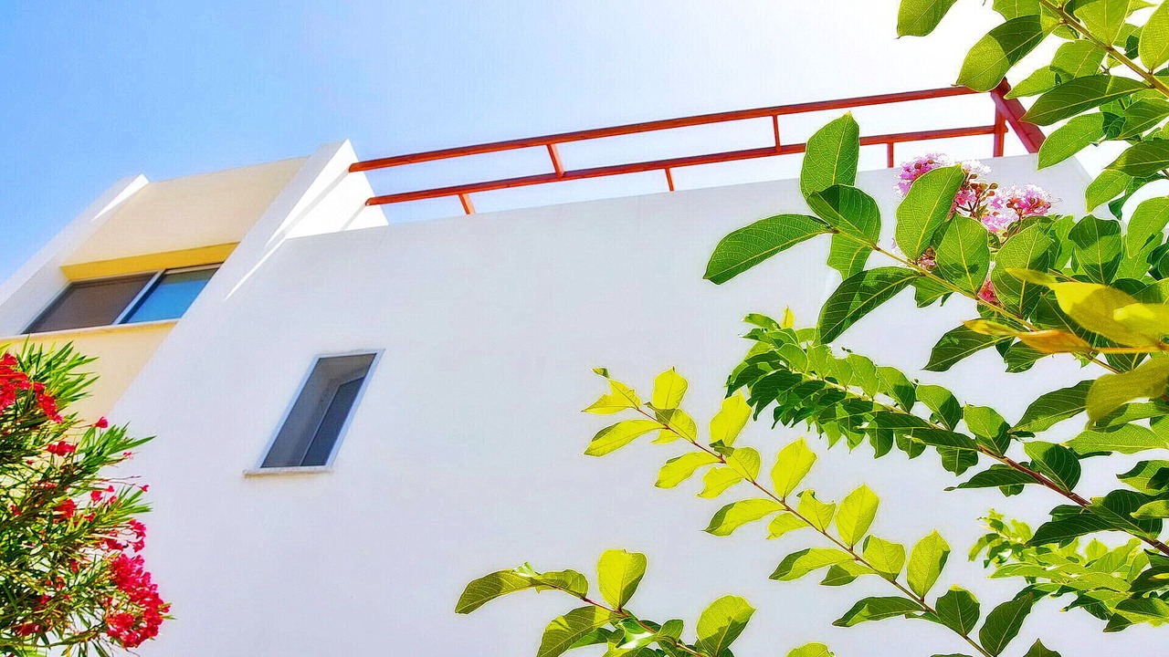 Photo of Outdoor in Pegeia