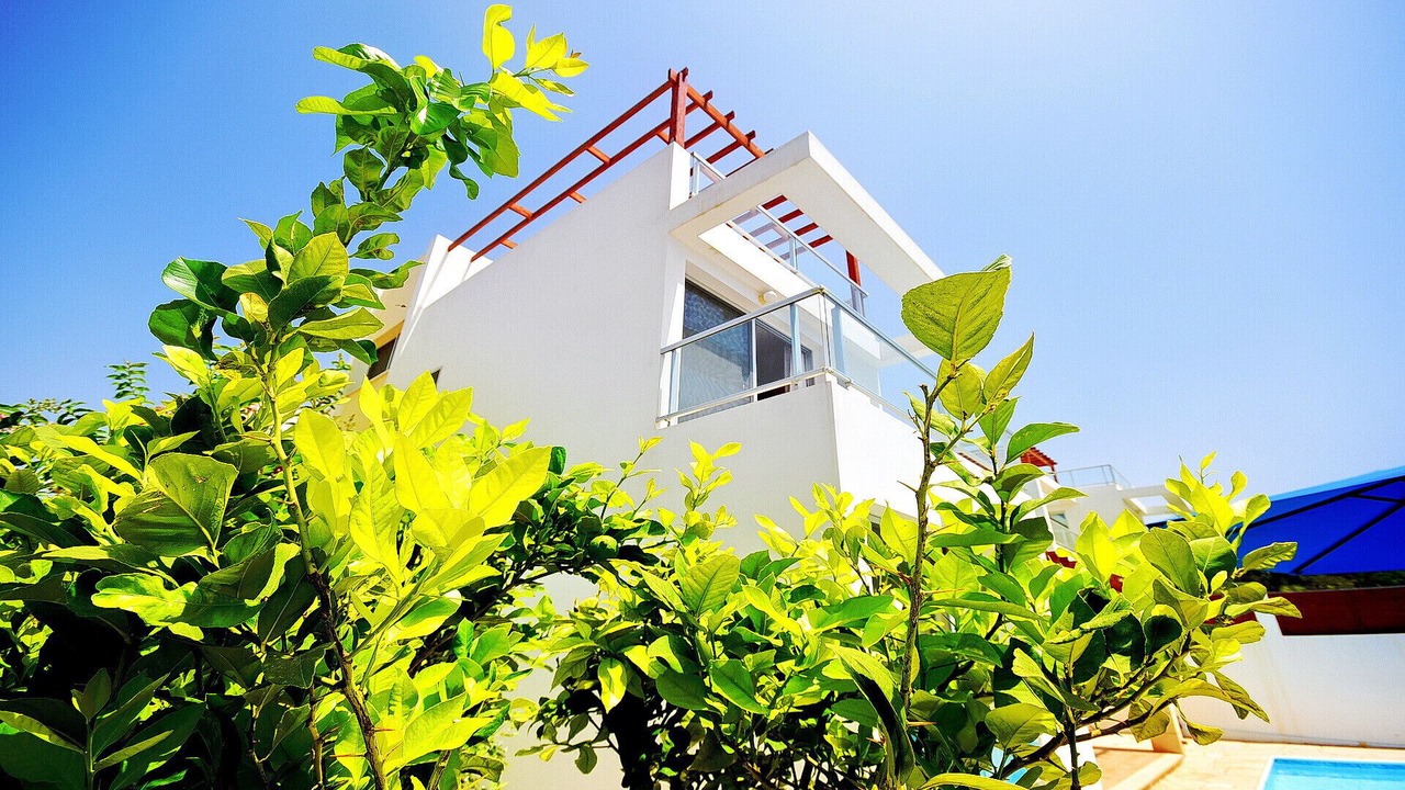 Photo of Outdoor in Pegeia