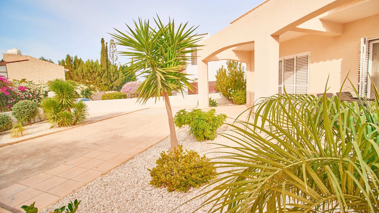 Photo of Outdoor in Pegeia