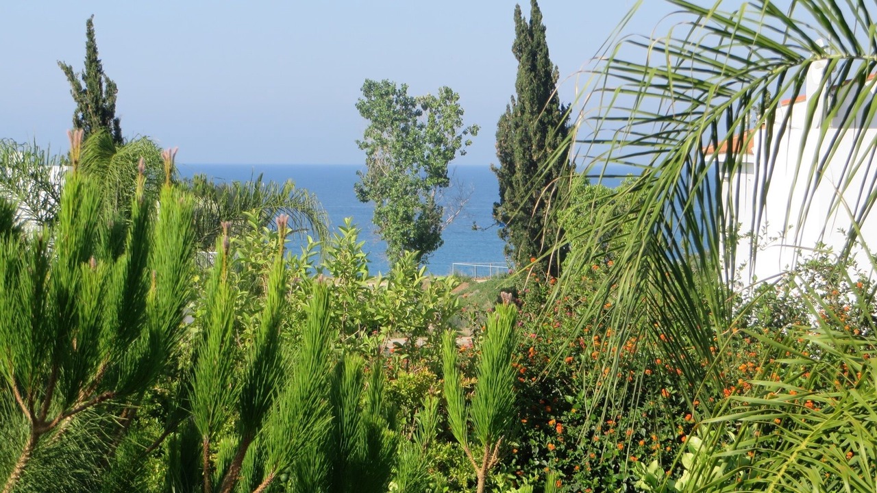 Photo of Patio Balcony in Pegeia