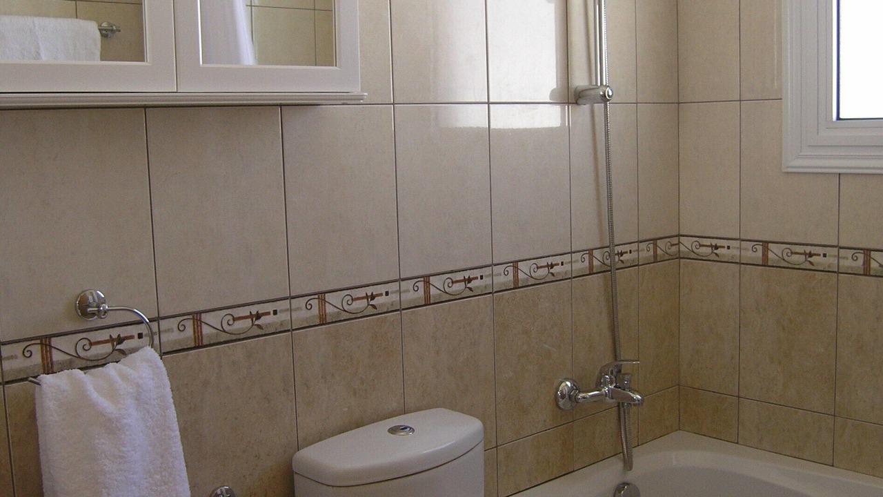 Photo of Bathroom in Alethriko