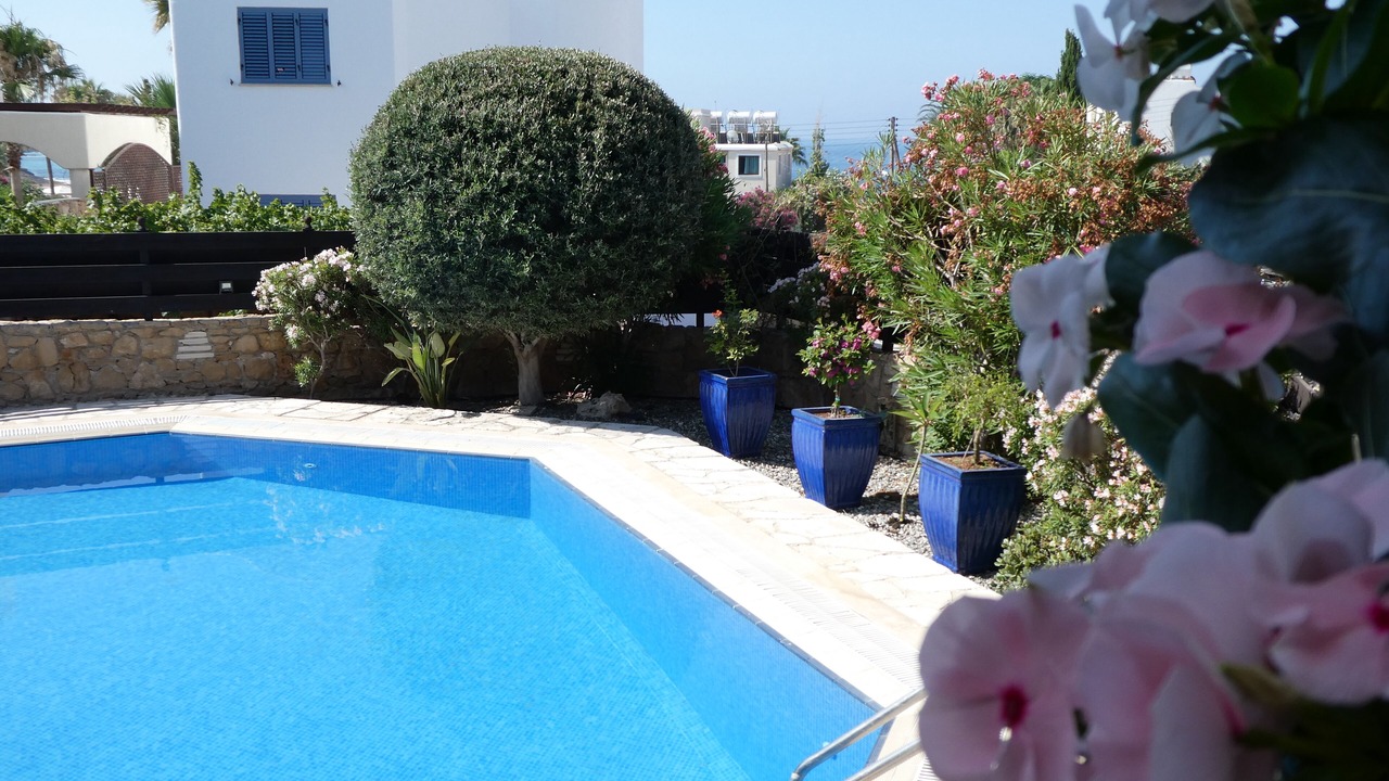 Photo of Outdoor in Chlorakas