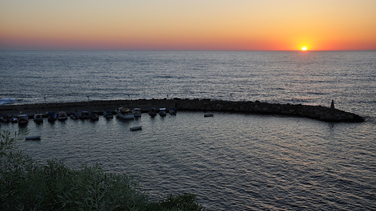 Photo of Others in Pegeia