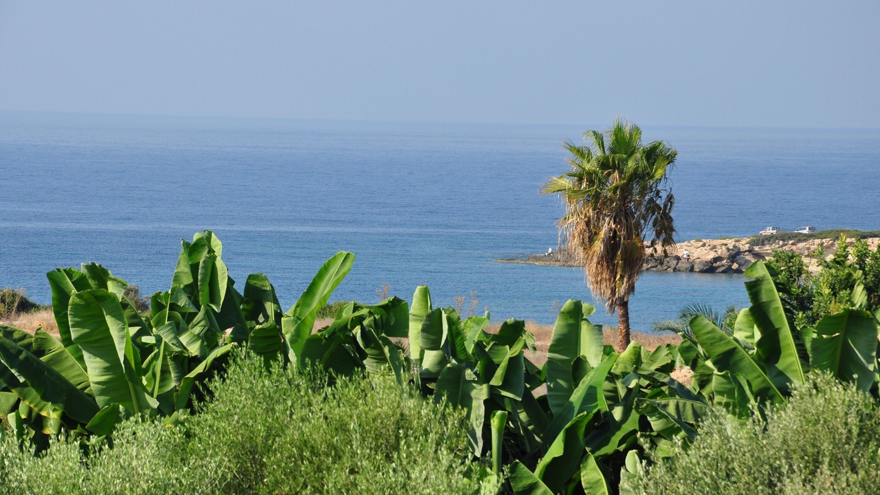 Photo of Others in Pegeia