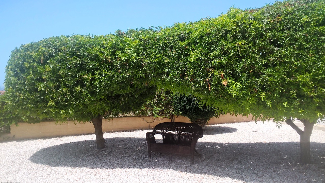 Photo of Others in Peyia Town