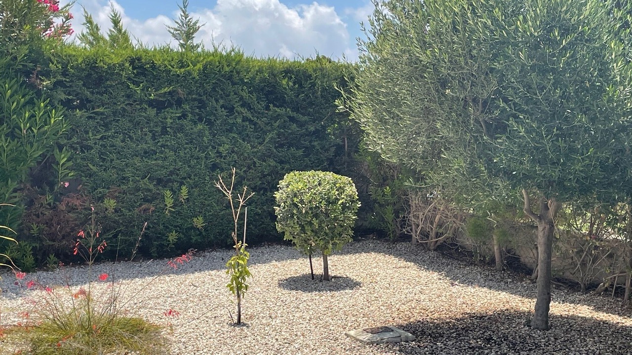 Photo of Outdoor in Pegeia