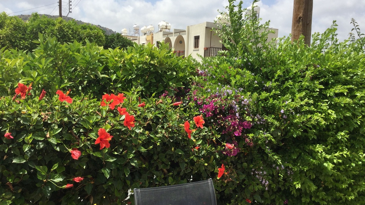 Photo of Others in Pissouri