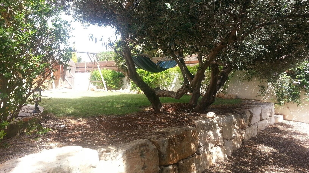 Photo of Outdoor in Pegeia