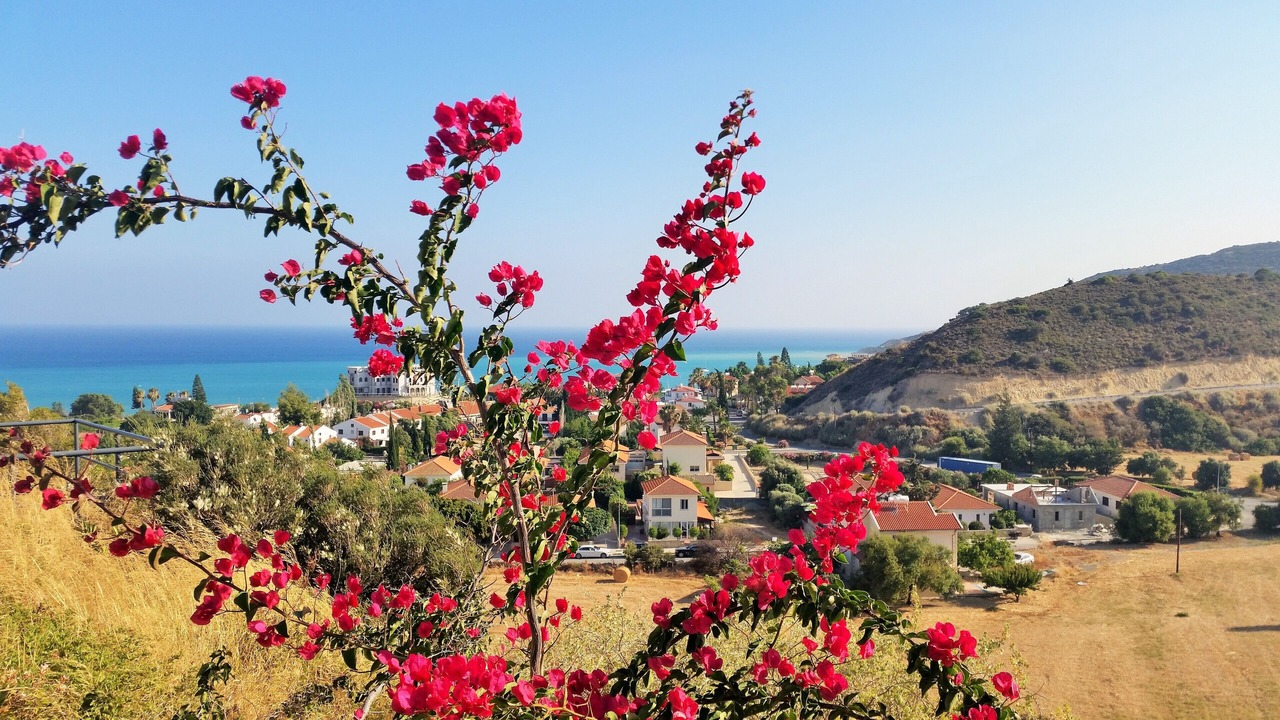 Photo of Others in Pissouri