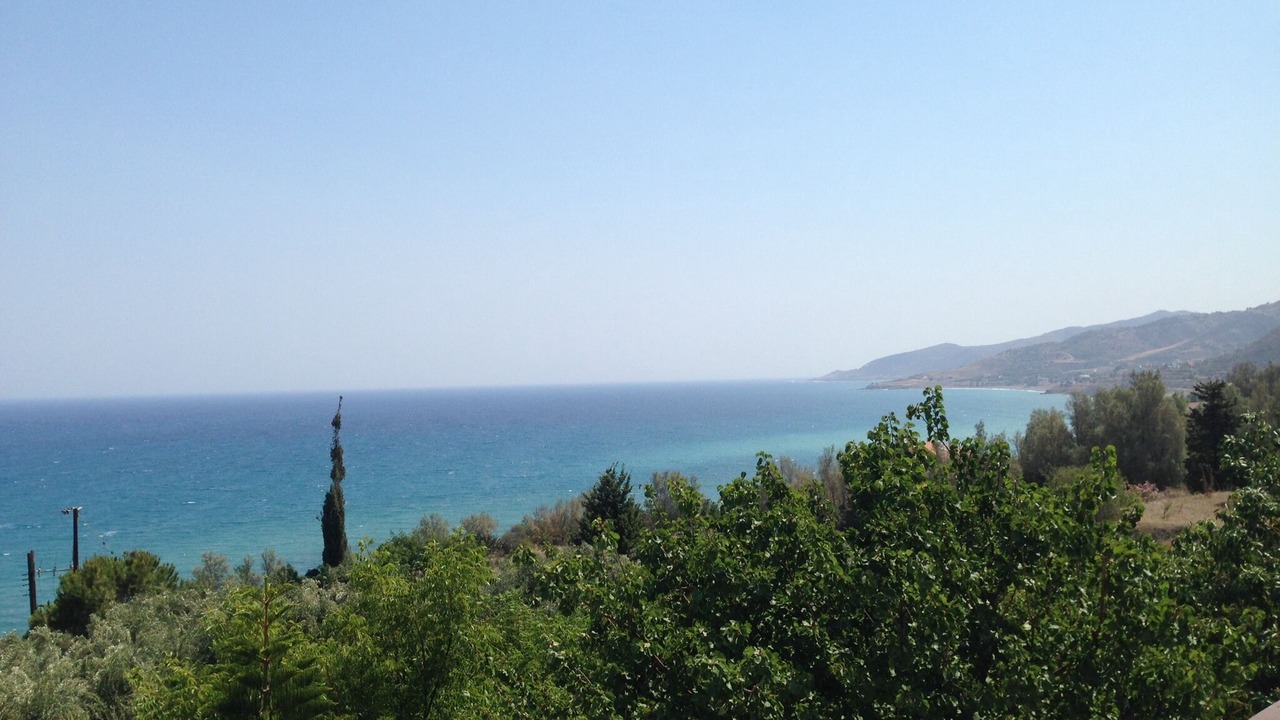 Photo of Others in Pachyammos