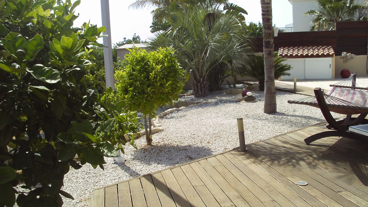 Photo of Outdoor in Chlorakas