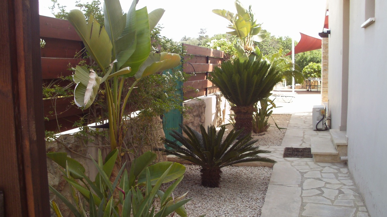 Photo of Outdoor in Chlorakas